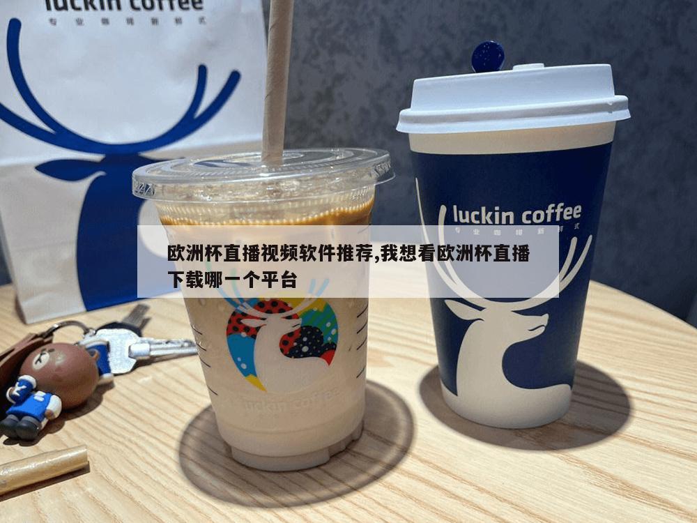 欧洲杯直播视频软件推荐,我想看欧洲杯直播下载哪一个平台