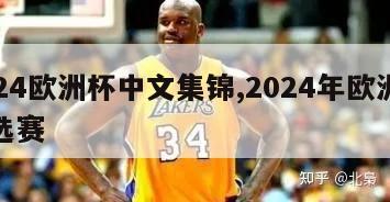 2024欧洲杯中文集锦,2024年欧洲杯预选赛