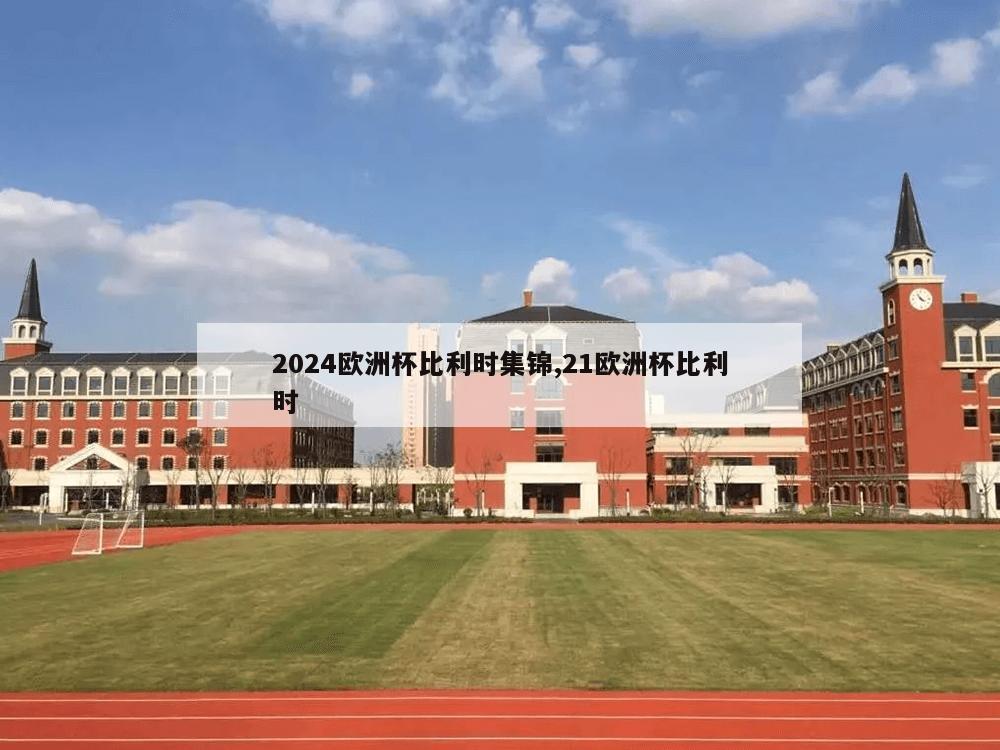 2024欧洲杯比利时集锦,21欧洲杯比利时