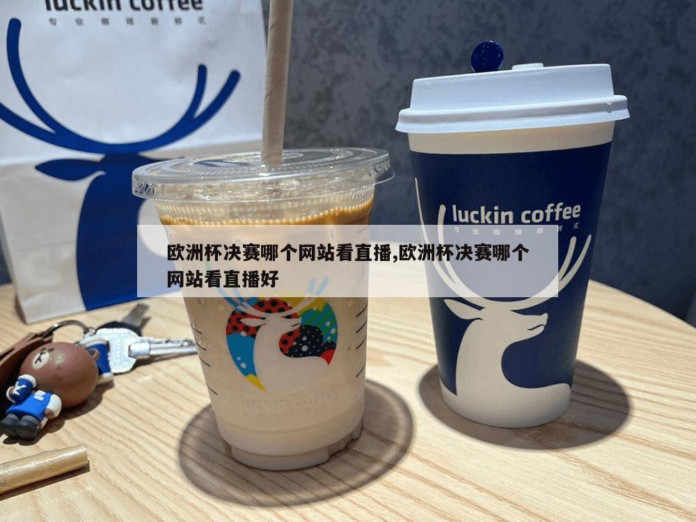 欧洲杯决赛哪个网站看直播,欧洲杯决赛哪个网站看直播好