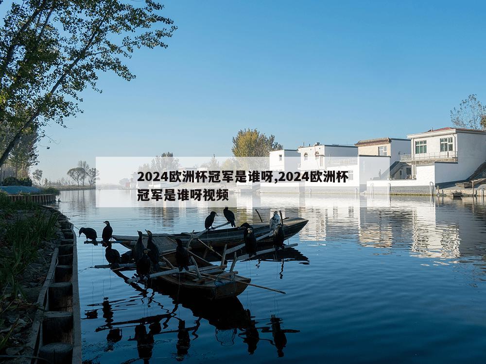 2024欧洲杯冠军是谁呀,2024欧洲杯冠军是谁呀视频