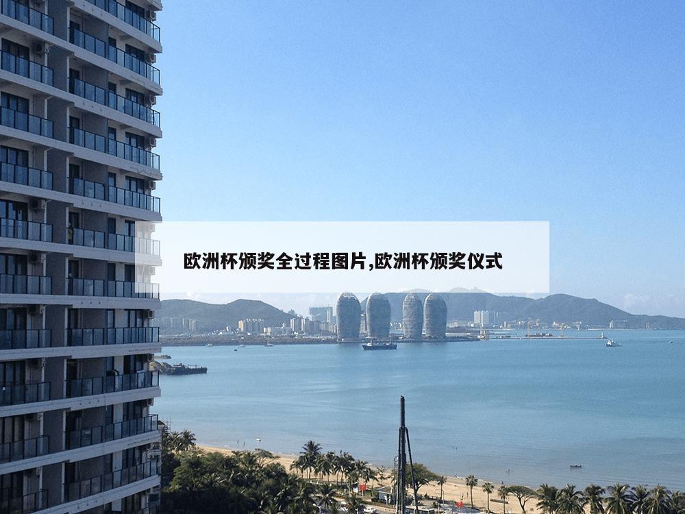 欧洲杯颁奖全过程图片,欧洲杯颁奖仪式