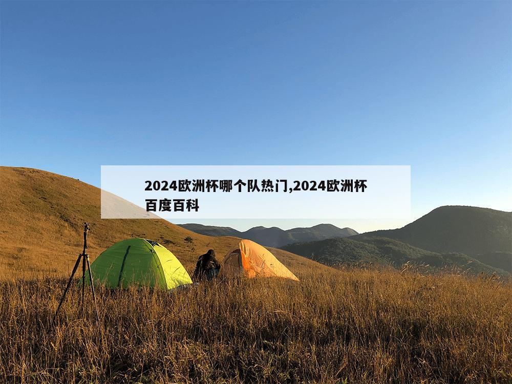 2024欧洲杯哪个队热门,2024欧洲杯百度百科