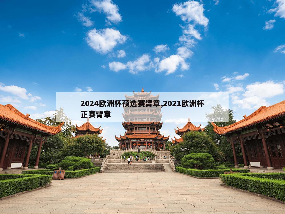 2024欧洲杯预选赛臂章,2021欧洲杯正赛臂章