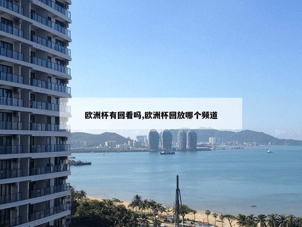 欧洲杯有回看吗,欧洲杯回放哪个频道