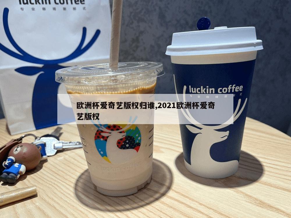 欧洲杯爱奇艺版权归谁,2021欧洲杯爱奇艺版权