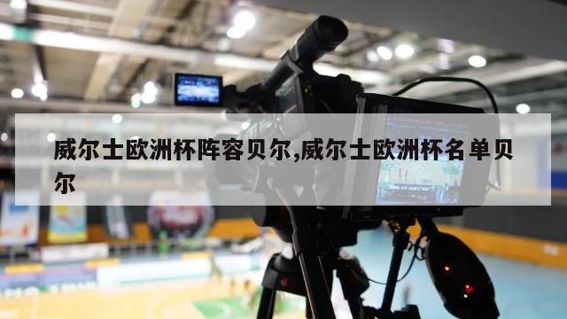 威尔士欧洲杯阵容贝尔,威尔士欧洲杯名单贝尔