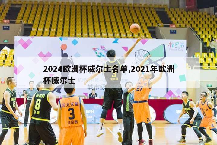 2024欧洲杯威尔士名单,2021年欧洲杯威尔士